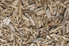 biomass boilers Brindle